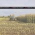 Enhancing Supply Chain Resiliency through Diversification Tyson Foods Case Study