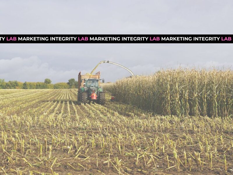 Enhancing Supply Chain Resiliency through Diversification: A Case Study of Tyson Foods