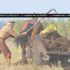 Global Supply Chains Are Modern Feudalism Lack of Tier Integration Reduces Resilience