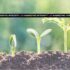 Grow or Die Myth Cancerous Growth - Marketing Integrity Lab Report